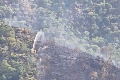 Marmaris'te ormana yıldırım düştü, yangın çıktı (2)