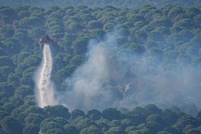 1 Haziran'dan bu yana 64 orman yangınıyla ilgili 11 şüpheli tutuklandı